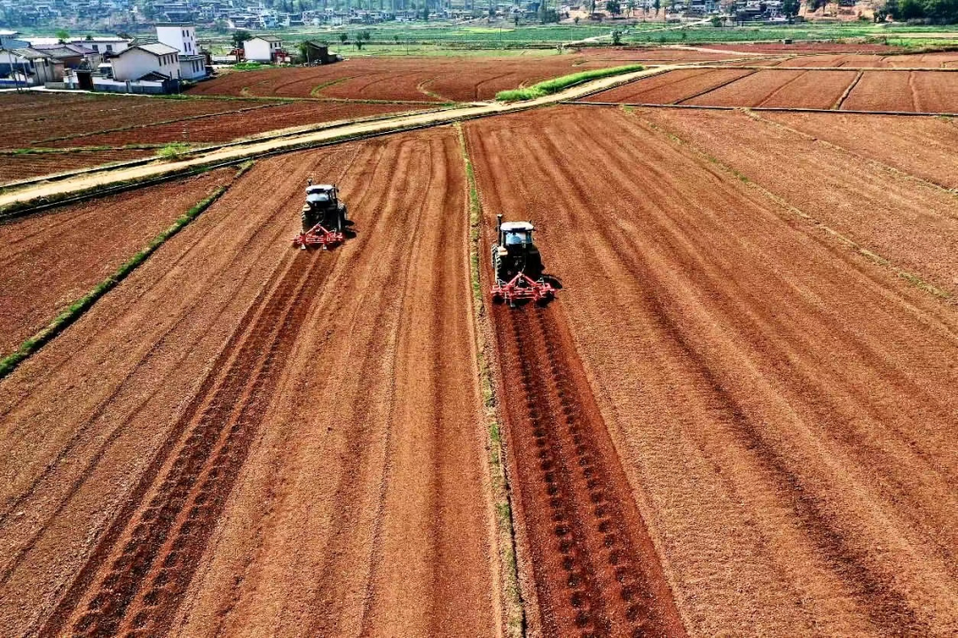 牟定县：高标准农田建设提速农业现代化2.png